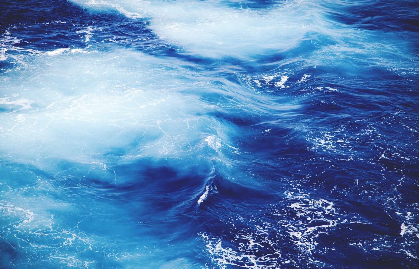 Portrait of Dr. Evelyn Reed