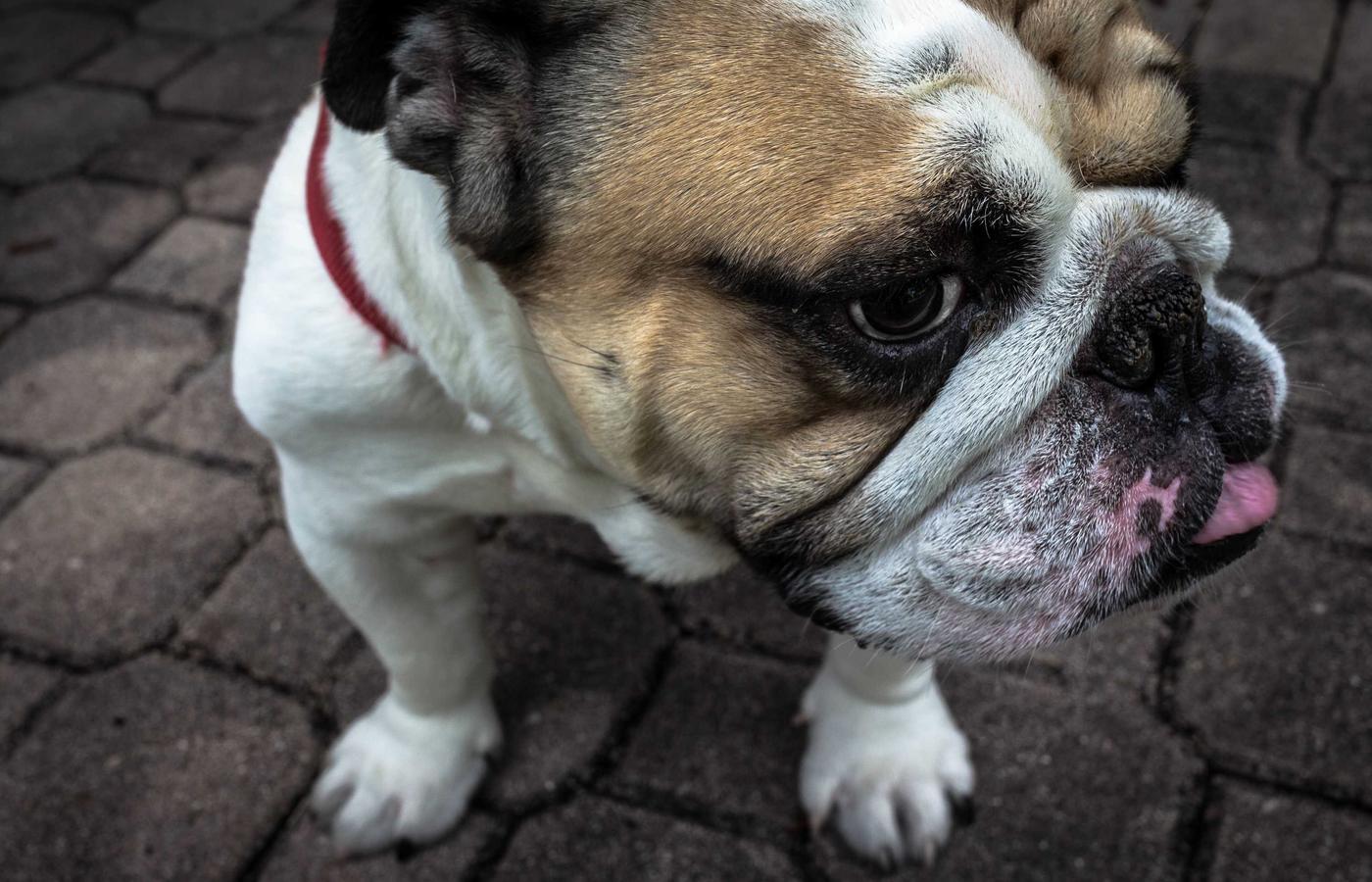 Earth from Low Earth Orbit